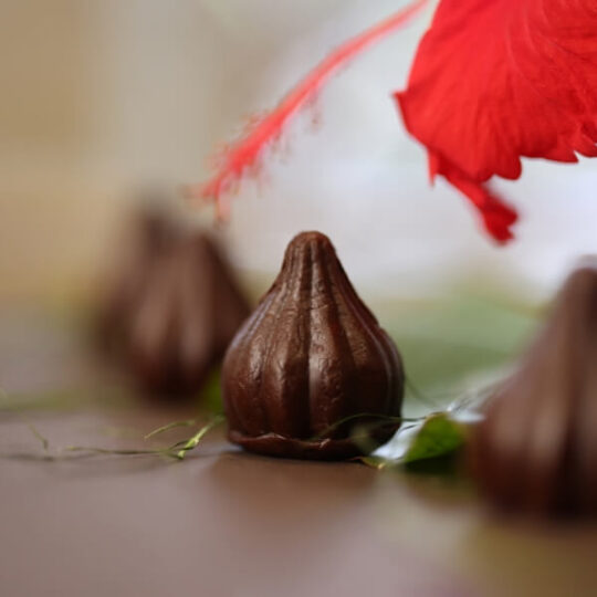 Chocolate Modak